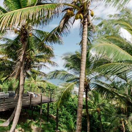 Eco Lifestyle And Lodge Bathsheba Eksteriør bilde
