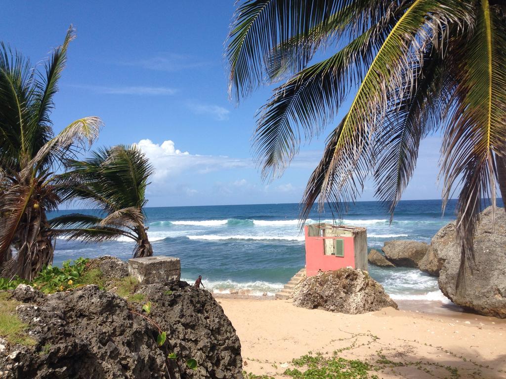 Eco Lifestyle And Lodge Bathsheba Eksteriør bilde