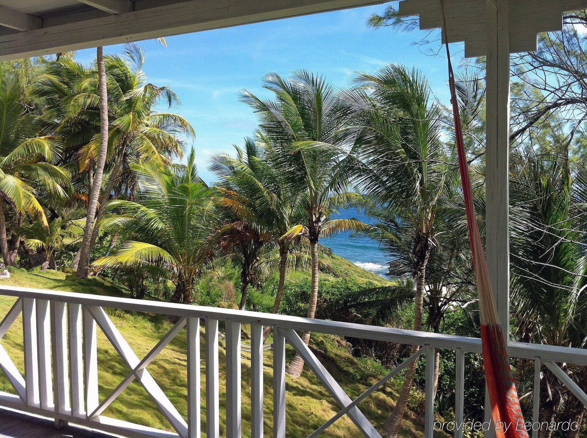 Eco Lifestyle And Lodge Bathsheba Eksteriør bilde