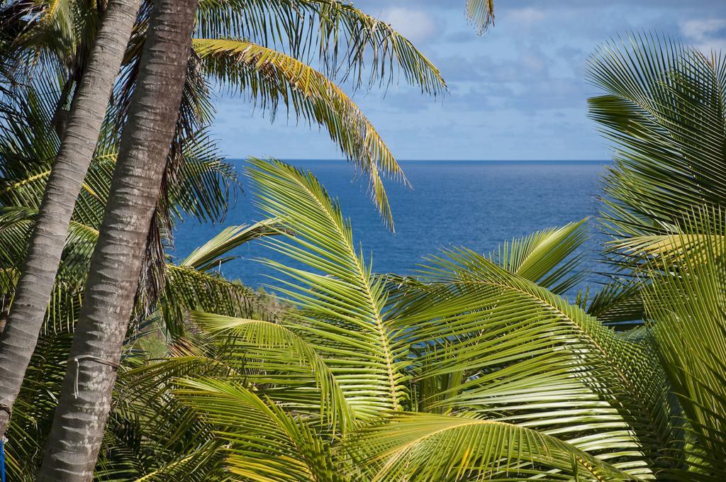 Eco Lifestyle And Lodge Bathsheba Eksteriør bilde