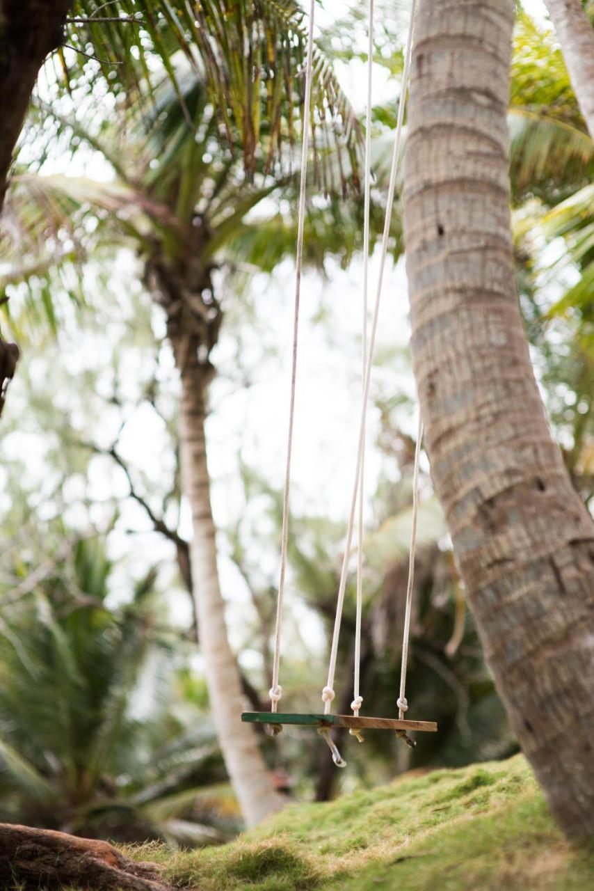 Eco Lifestyle And Lodge Bathsheba Eksteriør bilde