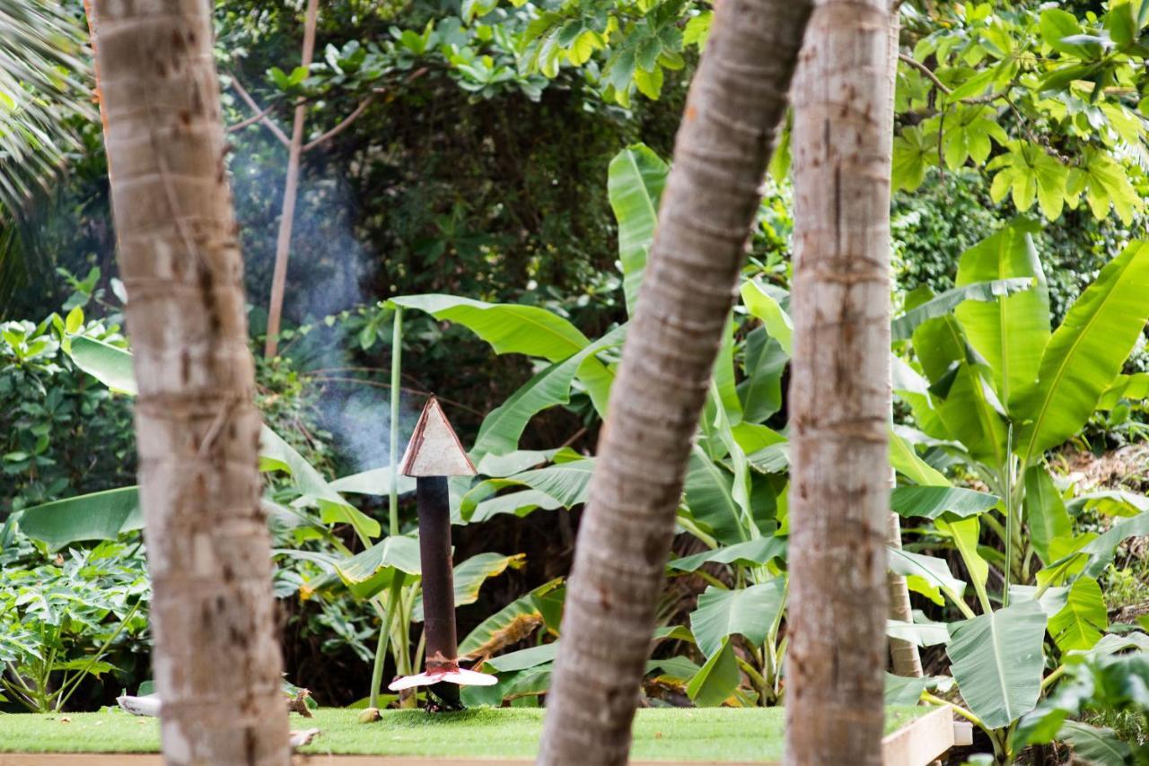 Eco Lifestyle And Lodge Bathsheba Eksteriør bilde