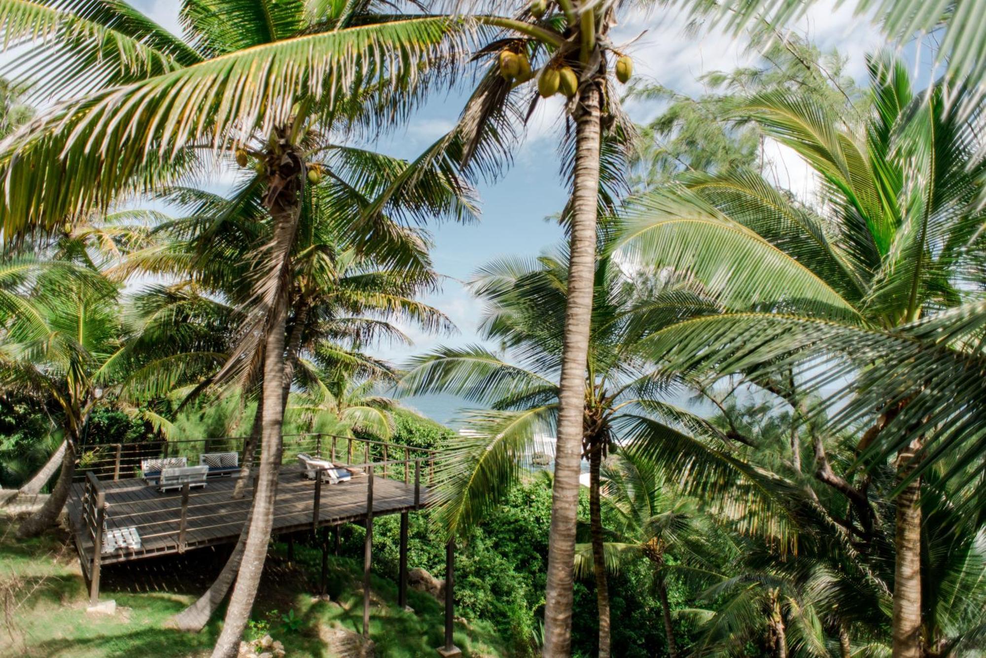 Eco Lifestyle And Lodge Bathsheba Eksteriør bilde